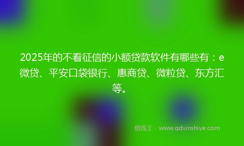 2025年的不看征信的小额贷款软件有哪些有：e微贷、平安口袋银行、惠商贷、微粒贷、东方汇等。