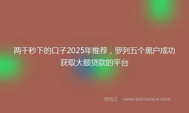 两千秒下的口子2025年推荐，罗列五个黑户成功获取大额贷款的平台