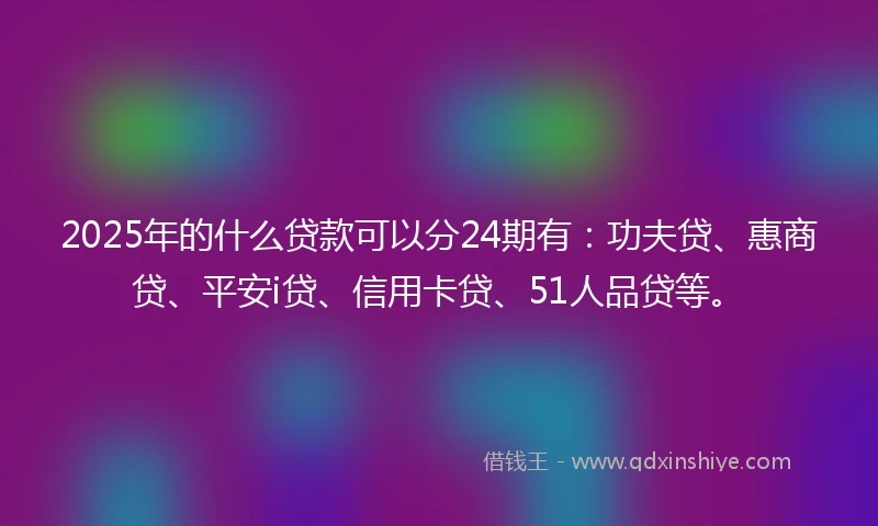 2025年的什么贷款可以分24期有：功夫贷、惠商贷、平安i贷、信用卡贷、51人品贷等。