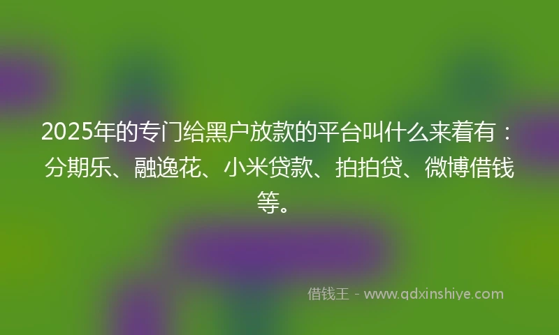 2025年的专门给黑户放款的平台叫什么来着有：分期乐、融逸花、小米贷款、拍拍贷、微博借钱等。