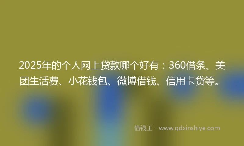 2025年的个人网上贷款哪个好有：360借条、美团生活费、小花钱包、微博借钱、信用卡贷等。