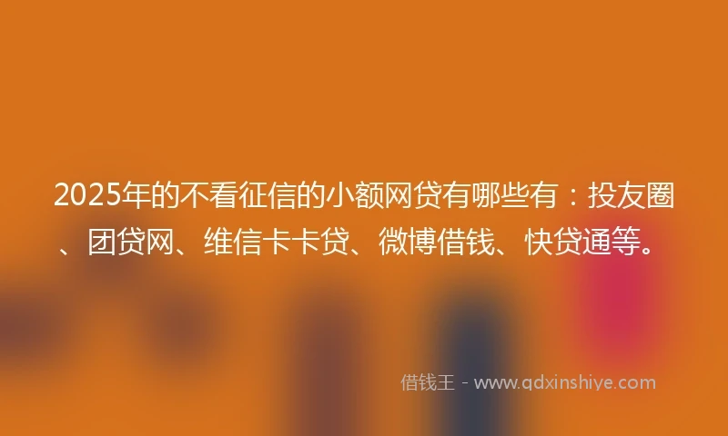 2025年的不看征信的小额网贷有哪些有：投友圈、团贷网、维信卡卡贷、微博借钱、快贷通等。