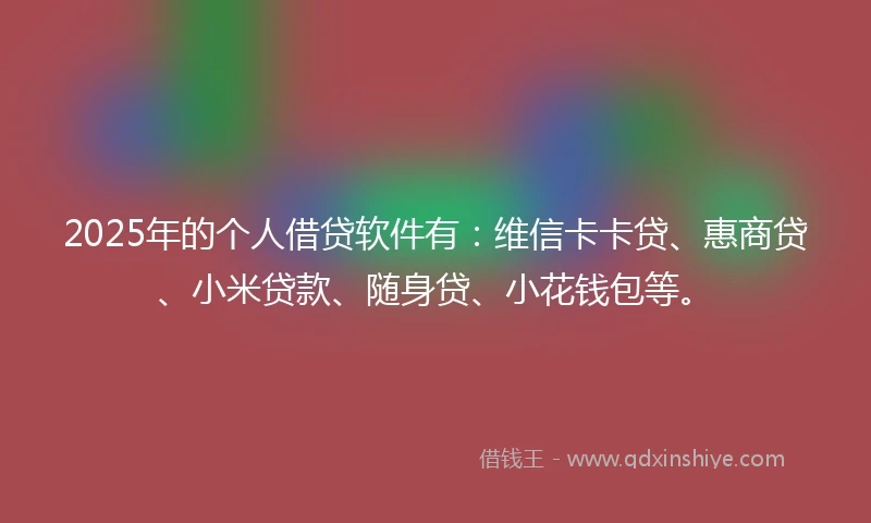 2025年的个人借贷软件有：维信卡卡贷、惠商贷、小米贷款、随身贷、小花钱包等。