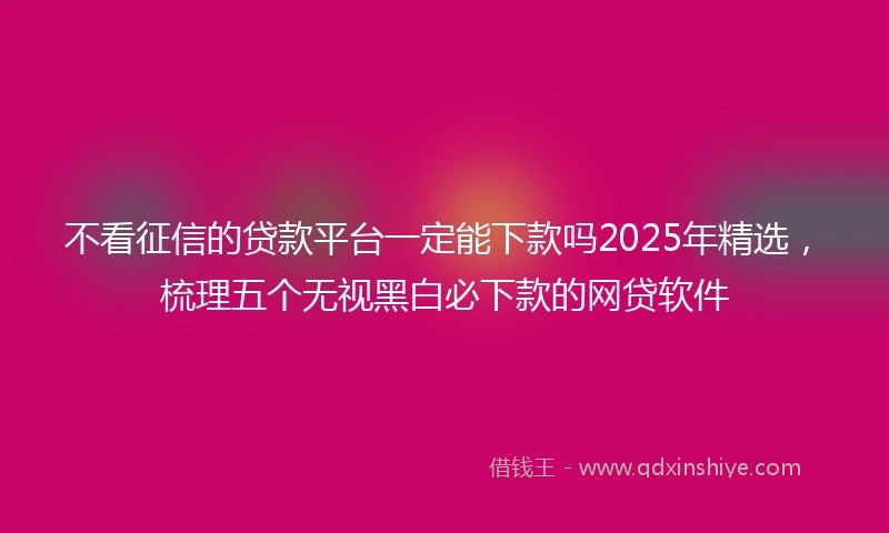 不看征信的贷款平台一定能下款吗2025年精选，梳理五个无视黑白必下款的网贷软件