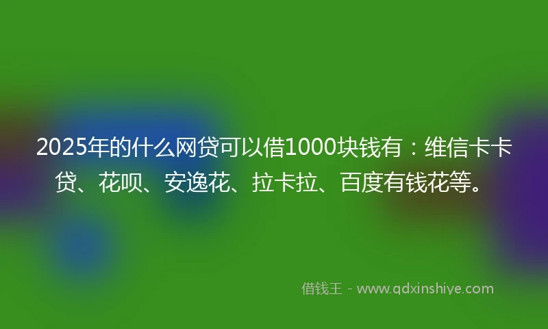 2025年的什么网贷可以借1000块钱有：维信卡卡贷、花呗、安逸花、拉卡拉、百度有钱花等。