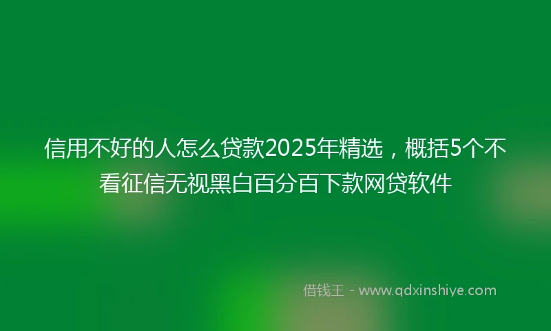 信用不好的人怎么贷款2025年精选，概括5个不看征信无视黑白百分百下款网贷软件
