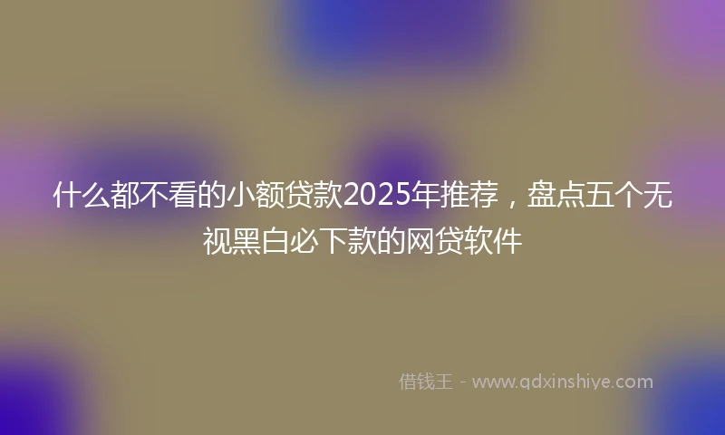 什么都不看的小额贷款2025年推荐，盘点五个无视黑白必下款的网贷软件