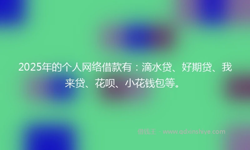 2025年的个人网络借款有：滴水贷、好期贷、我来贷、花呗、小花钱包等。
