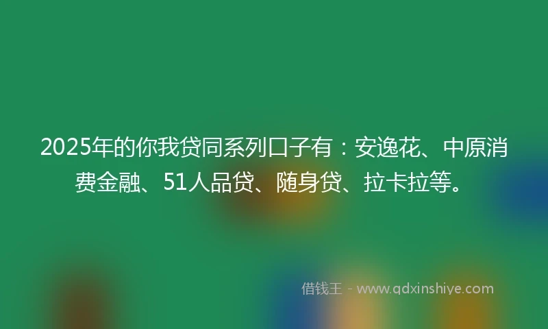 2025年的你我贷同系列口子有：安逸花、中原消费金融、51人品贷、随身贷、拉卡拉等。