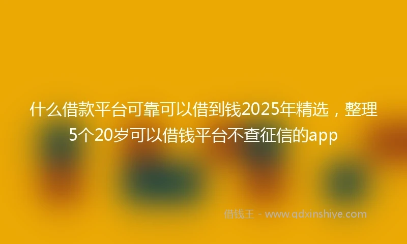 什么借款平台可靠可以借到钱2025年精选，整理5个20岁可以借钱平台不查征信的app