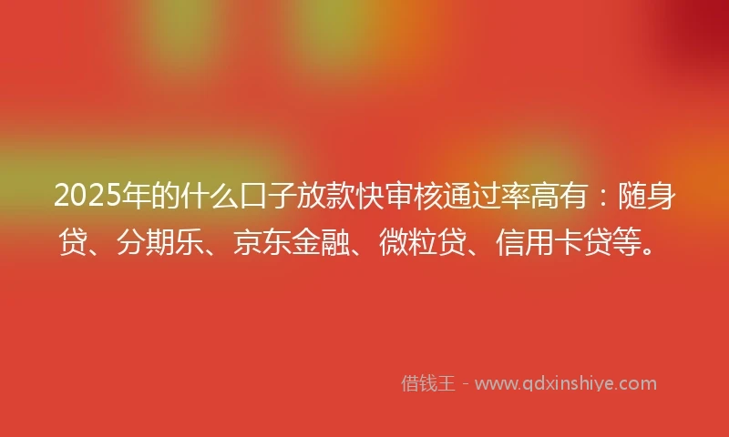 2025年的什么口子放款快审核通过率高有：随身贷、分期乐、京东金融、微粒贷、信用卡贷等。