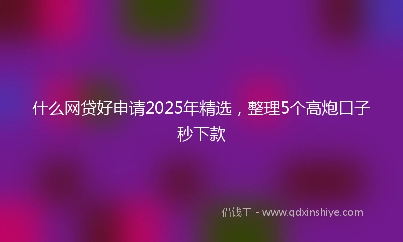 什么网贷好申请2025年精选，整理5个高炮口子秒下款