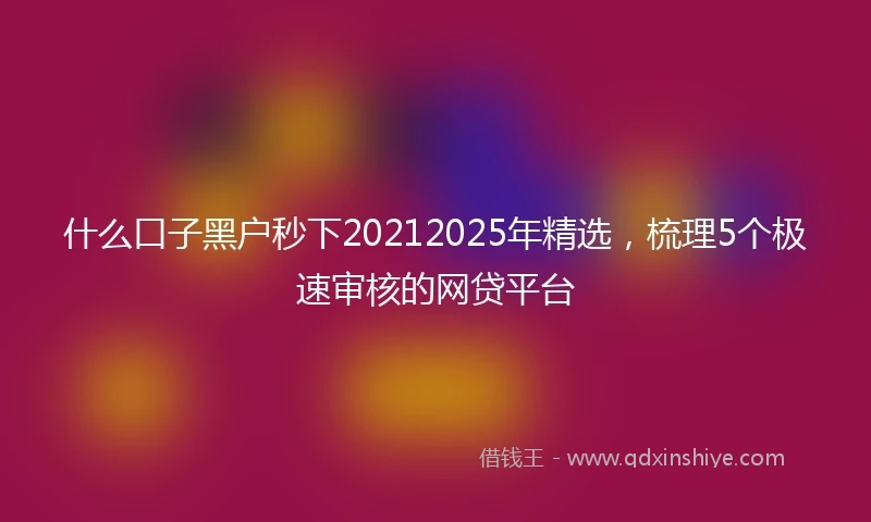什么口子黑户秒下20212025年精选，梳理5个极速审核的网贷平台