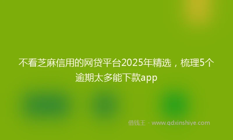 不看芝麻信用的网贷平台2025年精选，梳理5个逾期太多能下款app