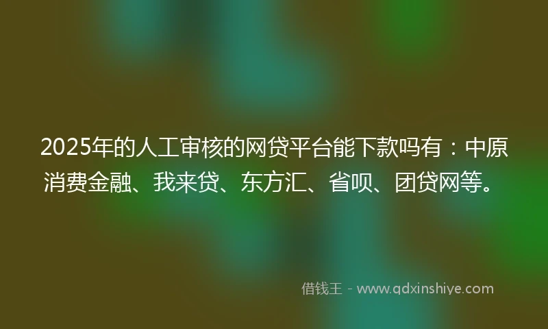 2025年的人工审核的网贷平台能下款吗有：中原消费金融、我来贷、东方汇、省呗、团贷网等。