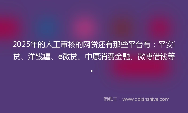 2025年的人工审核的网贷还有那些平台有：平安i贷、洋钱罐、e微贷、中原消费金融、微博借钱等。