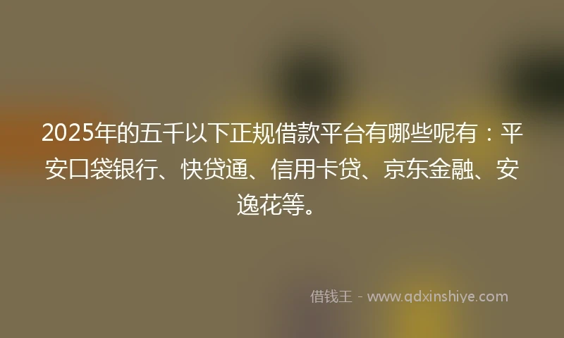 2025年的五千以下正规借款平台有哪些呢有：平安口袋银行、快贷通、信用卡贷、京东金融、安逸花等。