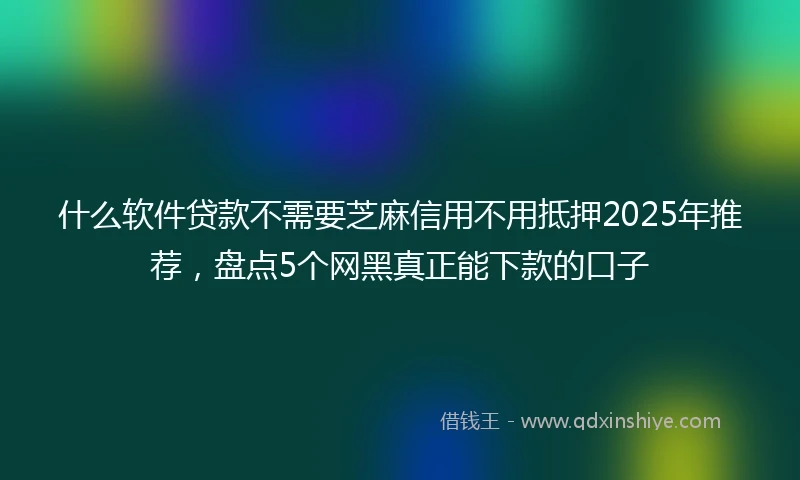 什么软件贷款不需要芝麻信用不用抵押2025年推荐，盘点5个网黑真正能下款的口子