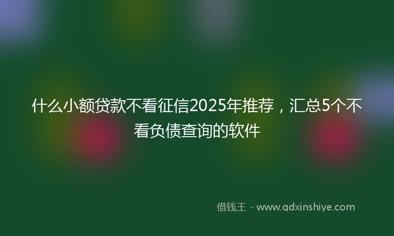 什么小额贷款不看征信2025年推荐，汇总5个不看负债查询的软件