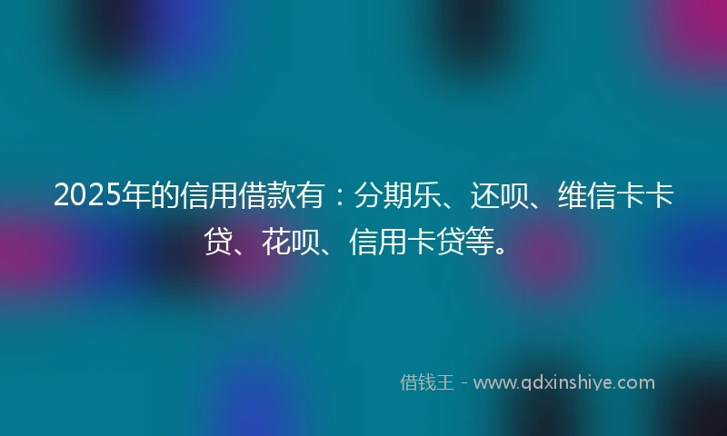 2025年的信用借款有：分期乐、还呗、维信卡卡贷、花呗、信用卡贷等。