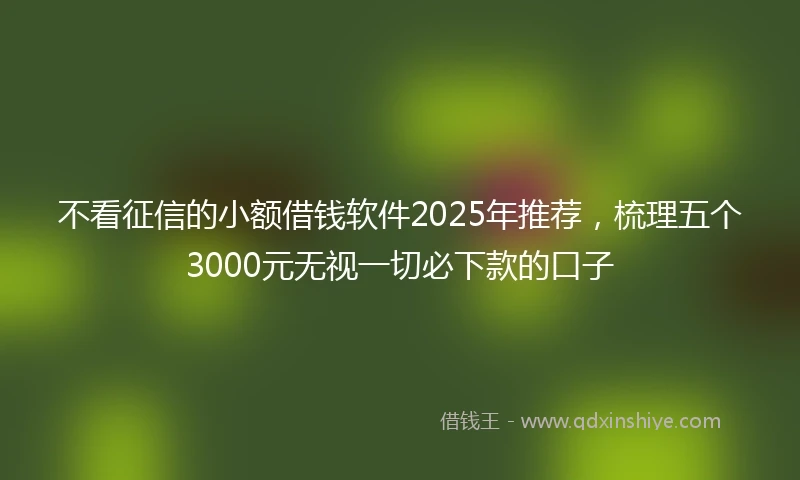 不看征信的小额借钱软件2025年推荐，梳理五个3000元无视一切必下款的口子