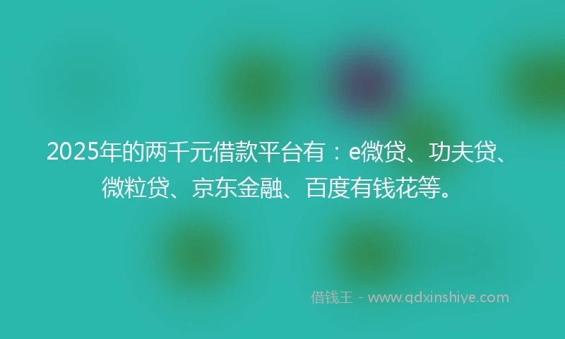 2025年的两千元借款平台有：e微贷、功夫贷、微粒贷、京东金融、百度有钱花等。