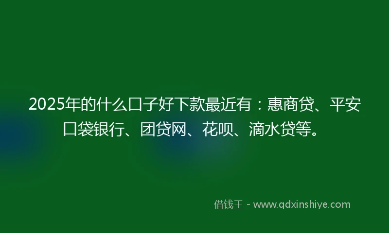 2025年的什么口子好下款最近有：惠商贷、平安口袋银行、团贷网、花呗、滴水贷等。