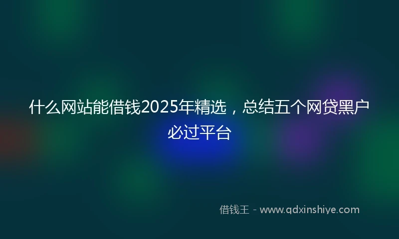 什么网站能借钱2025年精选，总结五个网贷黑户必过平台