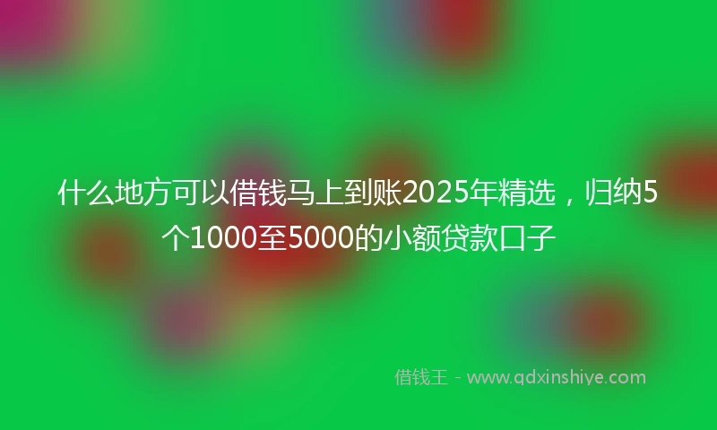 什么地方可以借钱马上到账2025年精选，归纳5个1000至5000的小额贷款口子