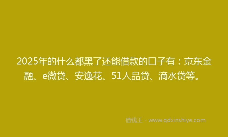 2025年的什么都黑了还能借款的口子有：京东金融、e微贷、安逸花、51人品贷、滴水贷等。