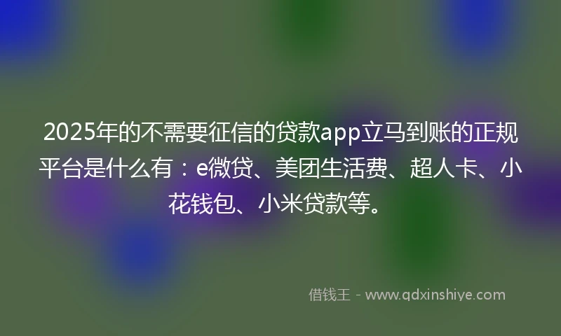 2025年的不需要征信的贷款app立马到账的正规平台是什么有：e微贷、美团生活费、超人卡、小花钱包、小米贷款等。