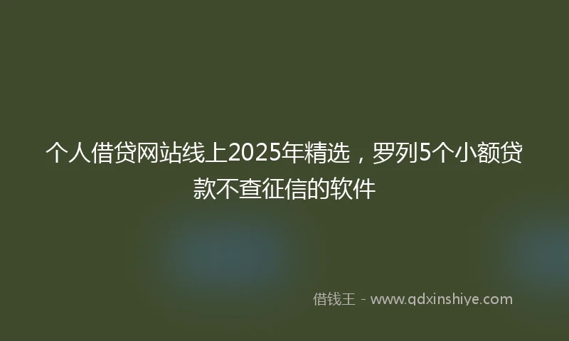 个人借贷网站线上2025年精选，罗列5个小额贷款不查征信的软件