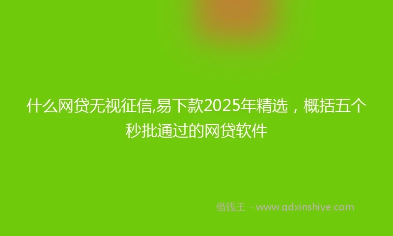 什么网贷无视征信,易下款2025年精选，概括五个秒批通过的网贷软件