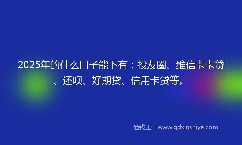 2025年的什么口子能下有：投友圈、维信卡卡贷、还呗、好期贷、信用卡贷等。