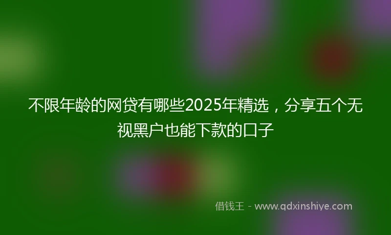 不限年龄的网贷有哪些2025年精选，分享五个无视黑户也能下款的口子