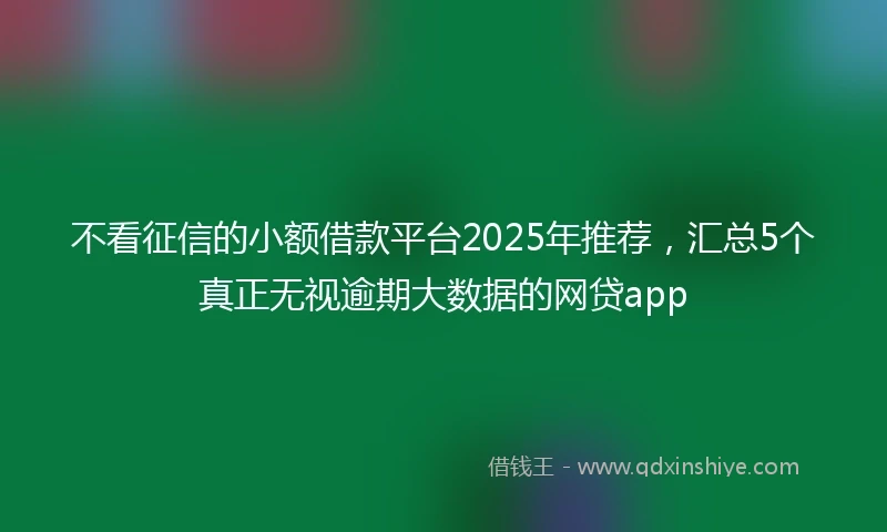 不看征信的小额借款平台2025年推荐，汇总5个真正无视逾期大数据的网贷app