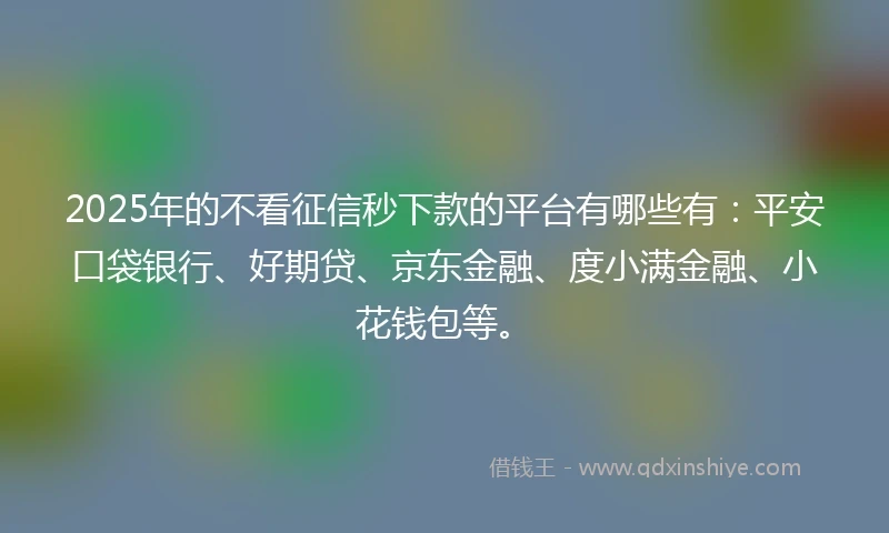 2025年的不看征信秒下款的平台有哪些有：平安口袋银行、好期贷、京东金融、度小满金融、小花钱包等。