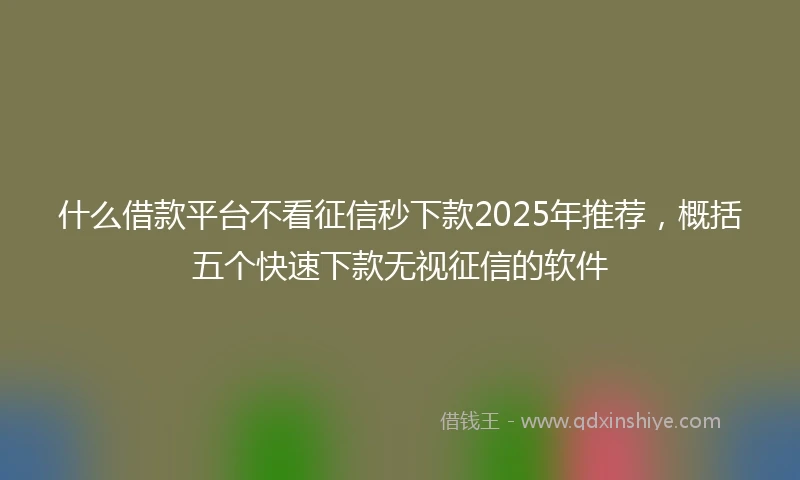 什么借款平台不看征信秒下款2025年推荐，概括五个快速下款无视征信的软件