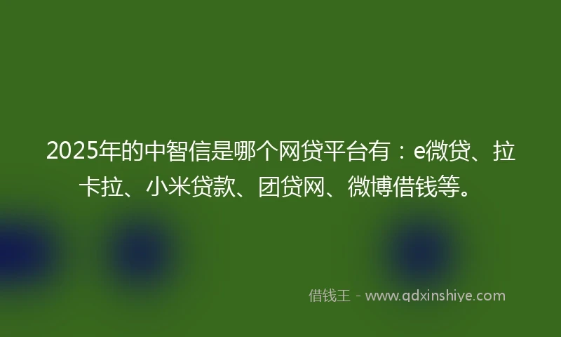 2025年的中智信是哪个网贷平台有：e微贷、拉卡拉、小米贷款、团贷网、微博借钱等。