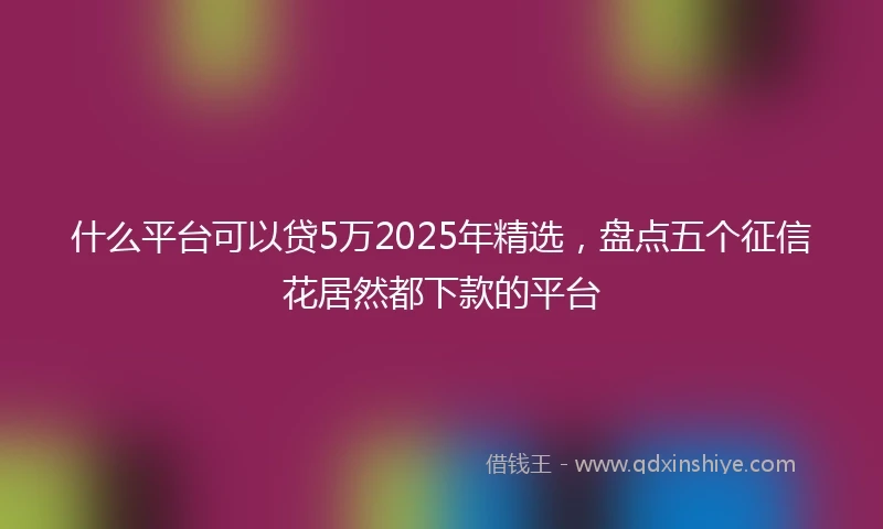 什么平台可以贷5万2025年精选，盘点五个征信花居然都下款的平台