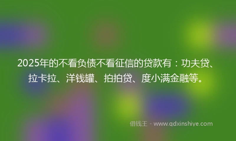 2025年的不看负债不看征信的贷款有：功夫贷、拉卡拉、洋钱罐、拍拍贷、度小满金融等。