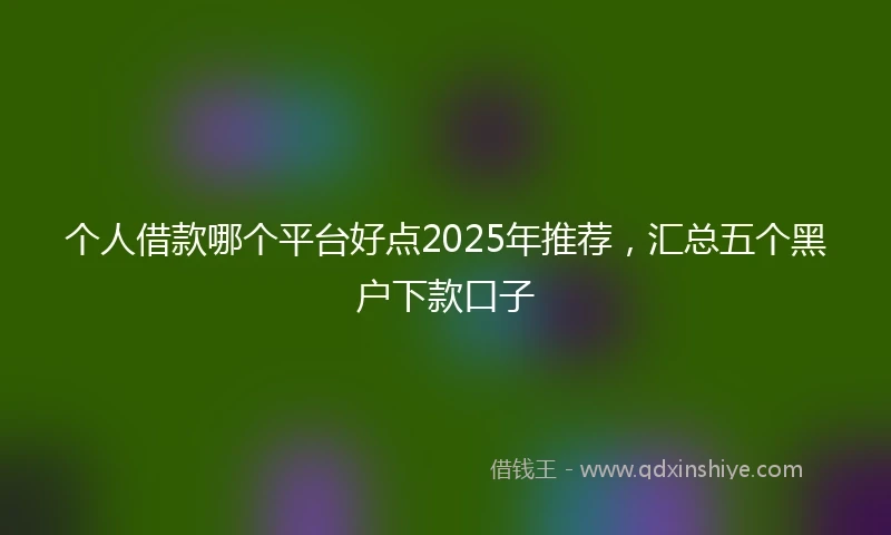 个人借款哪个平台好点2025年推荐，汇总五个黑户下款口子