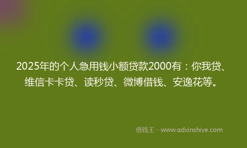 2025年的个人急用钱小额贷款2000有：你我贷、维信卡卡贷、读秒贷、微博借钱、安逸花等。