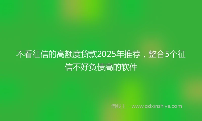 不看征信的高额度贷款2025年推荐，整合5个征信不好负债高的软件