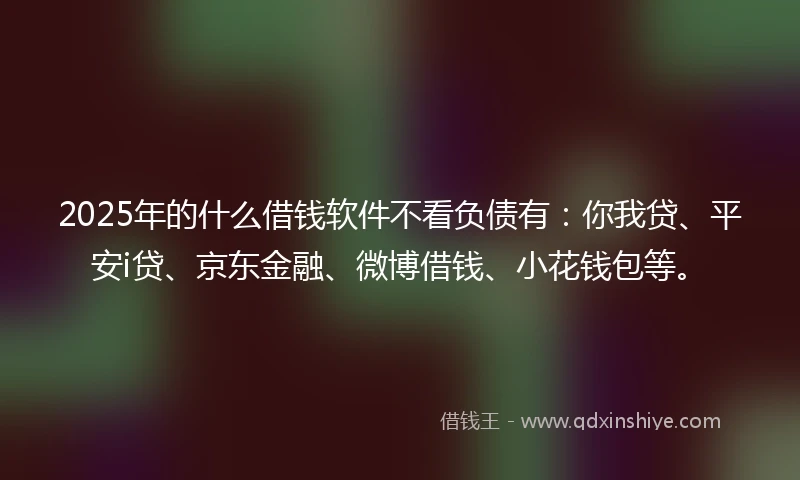 2025年的什么借钱软件不看负债有：你我贷、平安i贷、京东金融、微博借钱、小花钱包等。