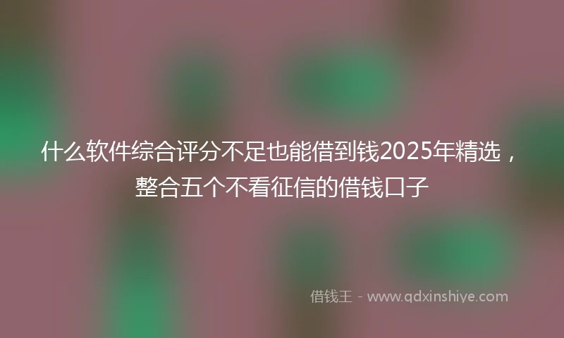 什么软件综合评分不足也能借到钱2025年精选，整合五个不看征信的借钱口子
