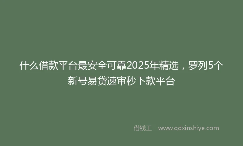 什么借款平台最安全可靠2025年精选，罗列5个新号易贷速审秒下款平台