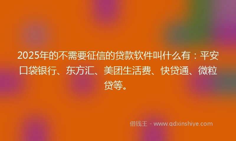 2025年的不需要征信的贷款软件叫什么有：平安口袋银行、东方汇、美团生活费、快贷通、微粒贷等。