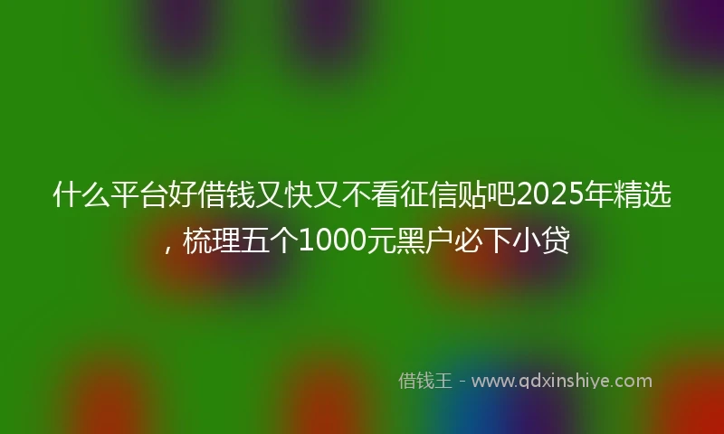 什么平台好借钱又快又不看征信贴吧2025年精选，梳理五个1000元黑户必下小贷