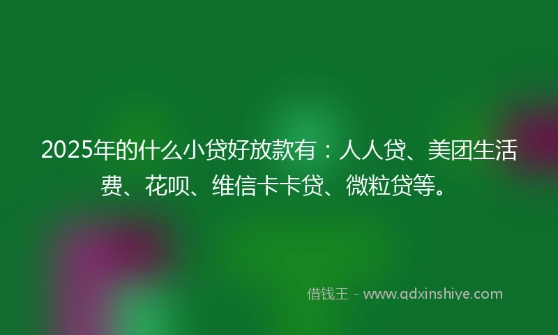 2025年的什么小贷好放款有：人人贷、美团生活费、花呗、维信卡卡贷、微粒贷等。